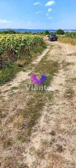 Teren agricol extravilan de 900 mp, în Poplaca