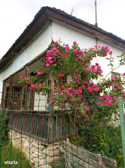 Teren de 2600 mp, în Domnești