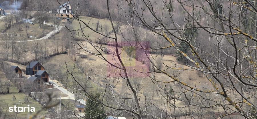 Teren de 2500 mp, în Valea Doftanei