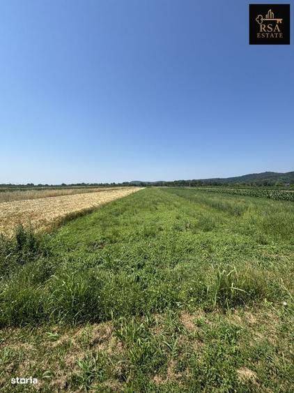Spațiu comercial, în Buleta