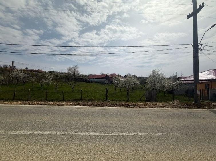 Teren de 1500 mp, în Nord-Est
