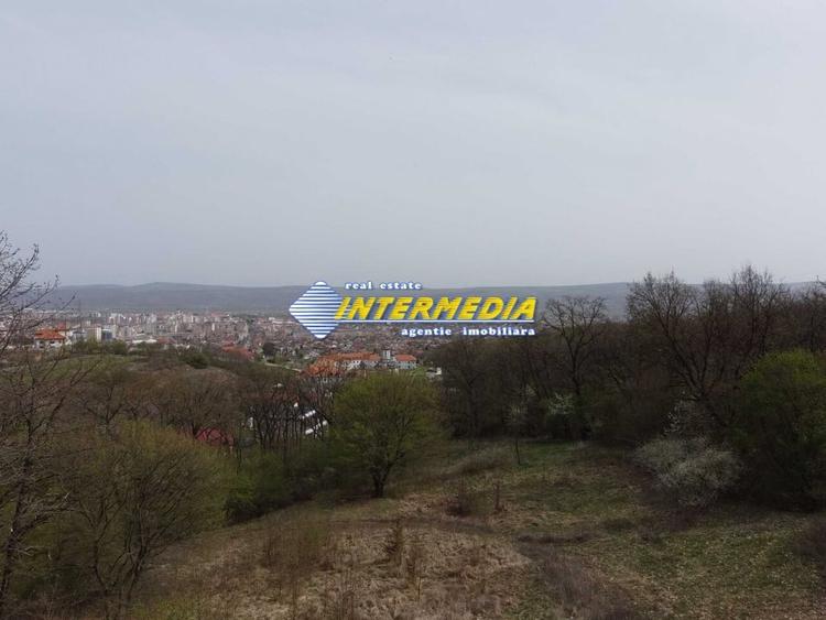 Teren Construcții intravilan de 10046 mp, în Cetate