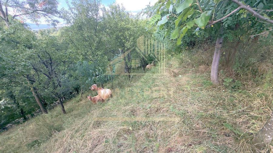 Casă cu 3 camere cu Teren 6660 Mp în Boteni