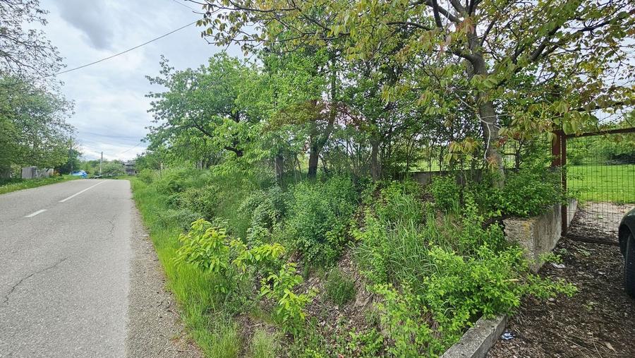 Teren Construcții intravilan de 5350 mp, în Dobreni