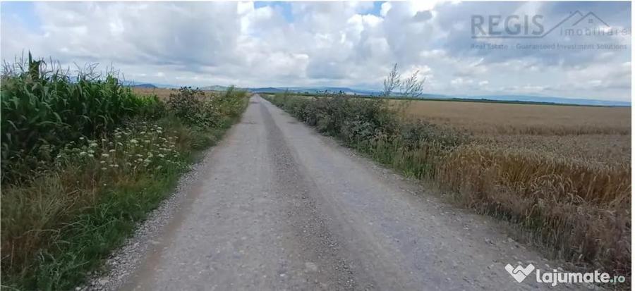 Teren în Hărman