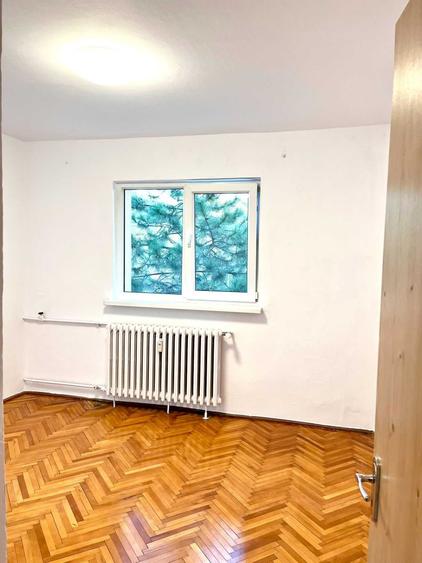 Apartament renovat, nemobilat, 2 camere decomandate, Hateg, Grigorescu - 7
