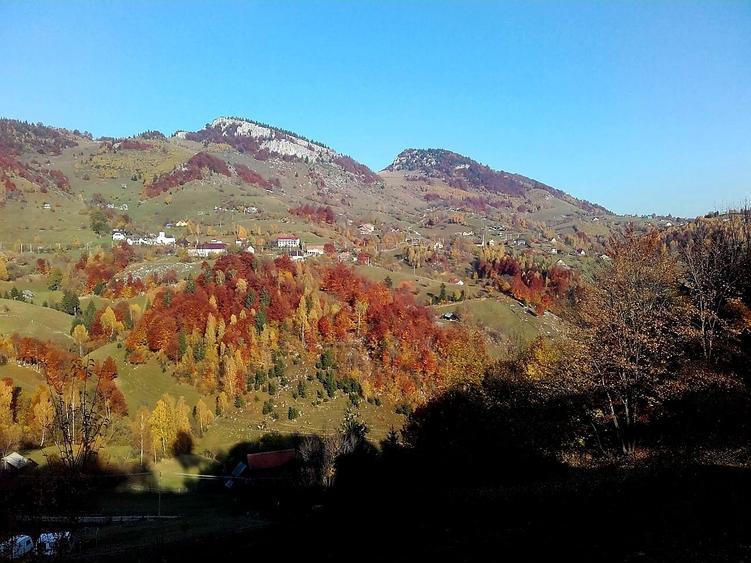 Teren Construcții intravilan de 2969 mp, în Măgura