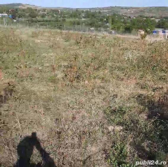 Teren în Goruni