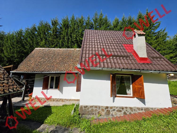 Casă cu 4 camere cu Teren 2800 Mp în Filia