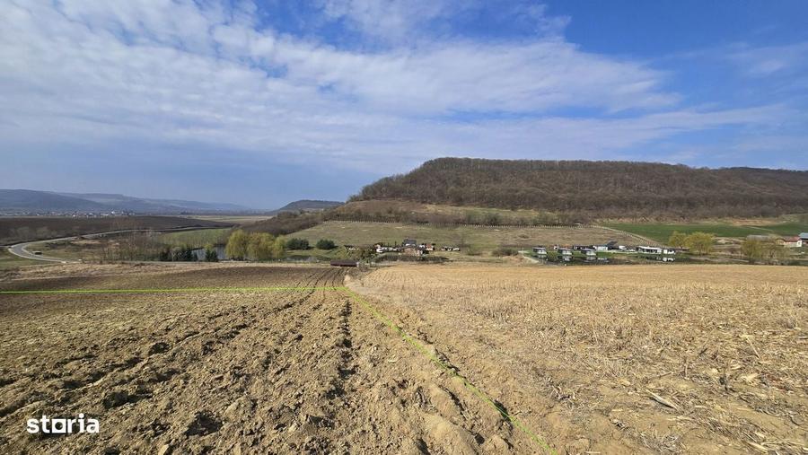 Teren de 7000 mp, în Hoghilag