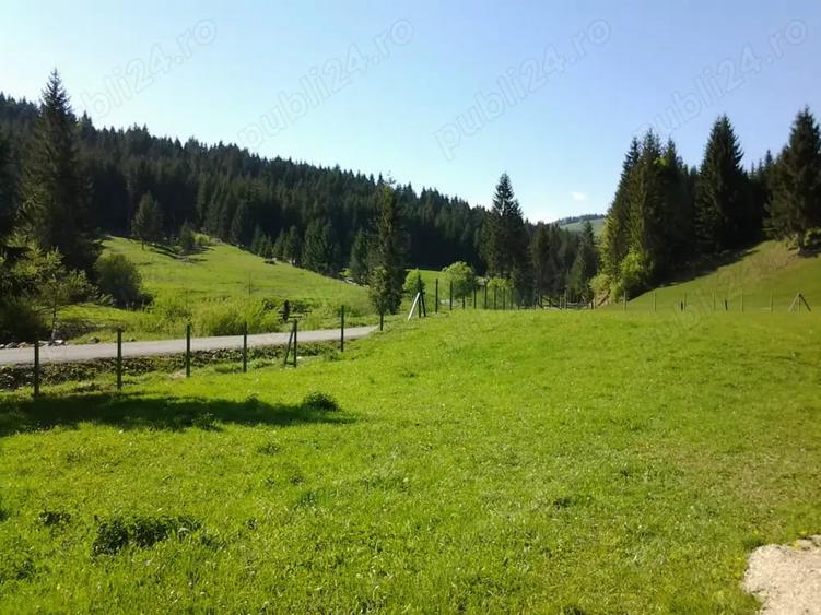 Teren de 12500 mp, în Lunca