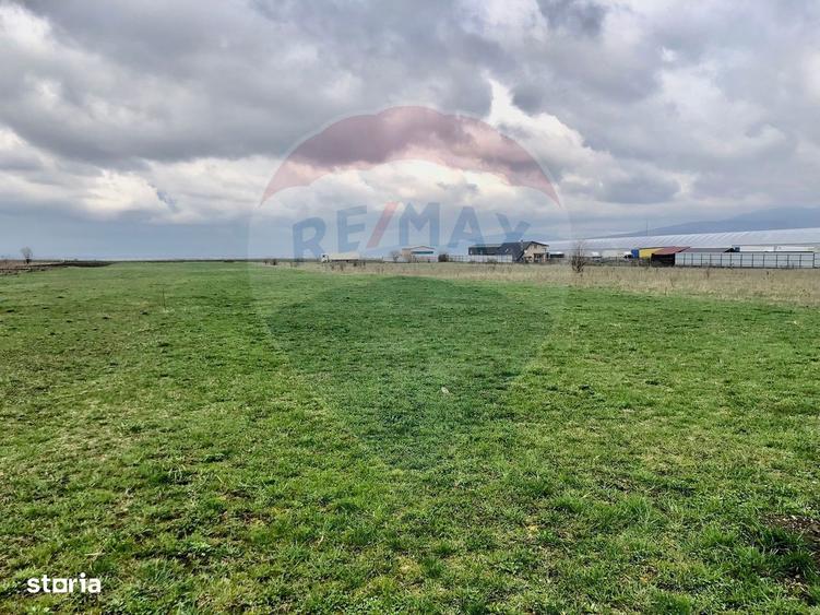 Teren de 500 mp, în Tărlungeni