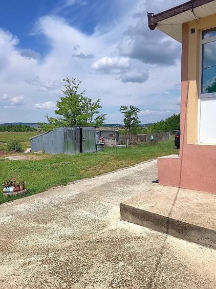 Casă cu Teren 5000 Mp în Central
