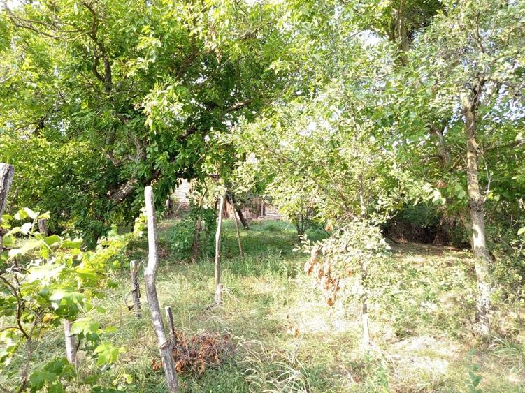 Casă cu Teren 1151 Mp în Ciuchici
