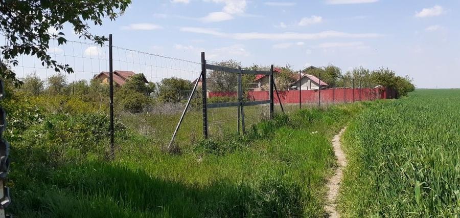 Teren intravilan 500 mp in Glina, Ilfov, langa Bucuresti - 1