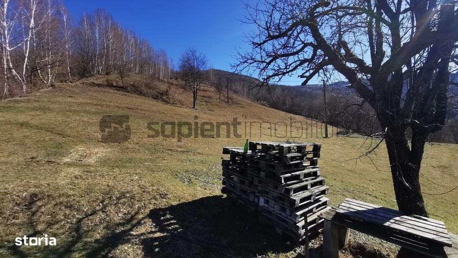 Spațiu comercial, în Munteni