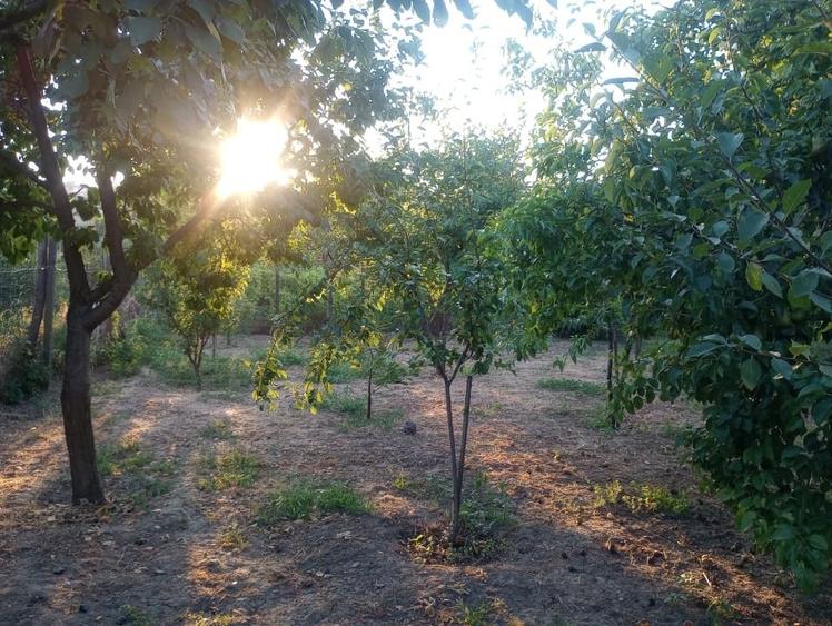 Casă individuală cu 3 camere cu Teren 671 Mp în Central
