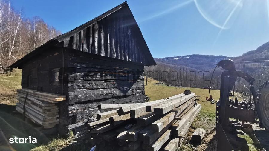 Teren de 10100 mp, în Bulz