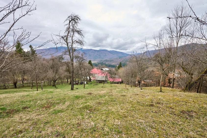Casă cu 4 camere cu Teren 4213 Mp în Nucșoara