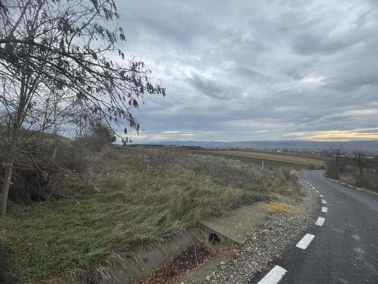 Teren de vanzare, 2900 mp, Cuzdrioara - 1