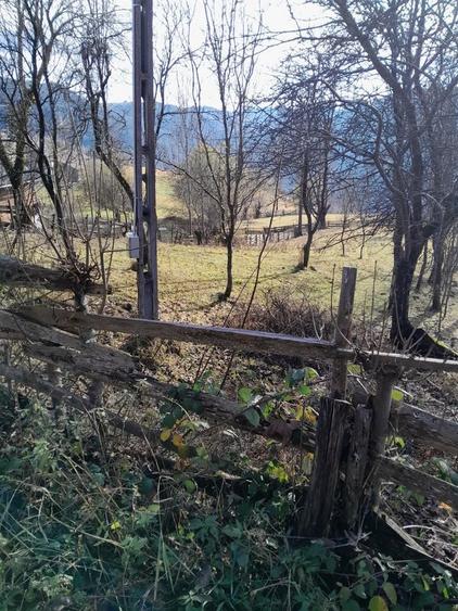 Teren de 1398 mp, în Albac