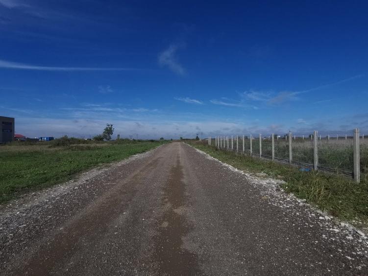 Teren Construcții intravilan de 1700 mp, în Dumbrăvița