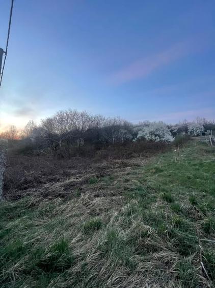 Teren Construcții intravilan de 2200 mp, în Independenței