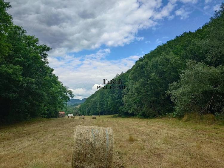 Teren de 5800 mp, în Podele