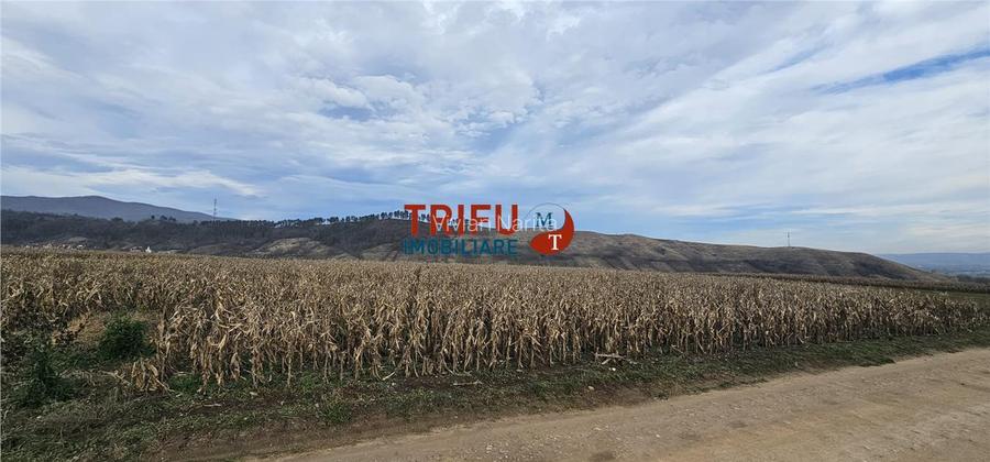 Teren Extravilan în Zona Paclisa, Alba Iulia 3400mp