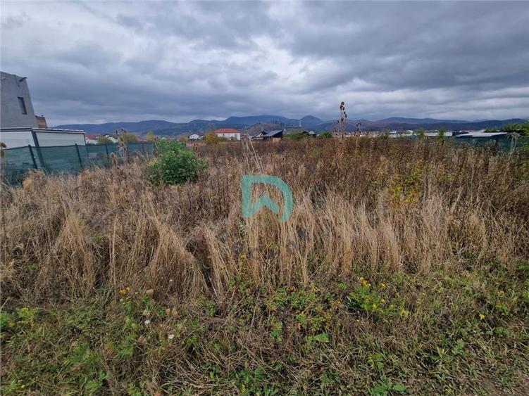 Teren Construcții intravilan de 600 mp, în Cristian