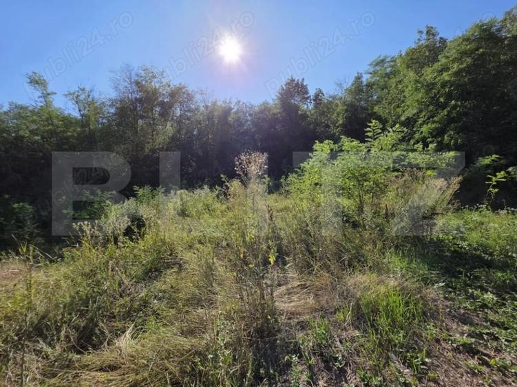 Casă individuală cu 3 camere cu Teren 1820 Mp în Găești