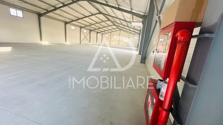 Spațiu industrial, de 1,000 mp, în Narciselor