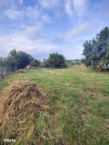 Teren 1000 mp pt casa in Salicea, capat de strada, utilita?i, gard