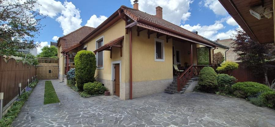 Casa singur in curte Ultracentral - str. Rodnei - 1