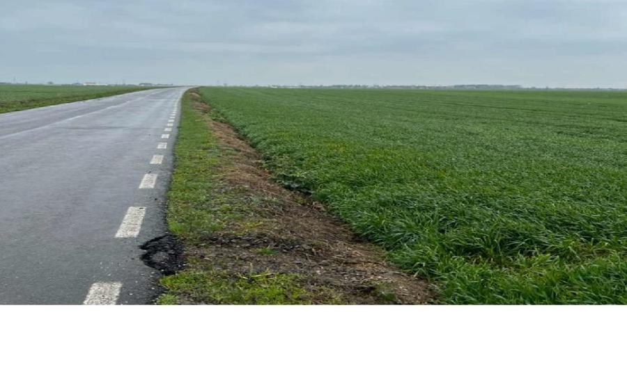 Teren agricol extravilan de 1000 mp, în Vasilați