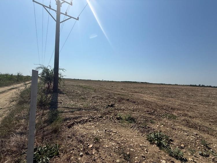 Teren agricol extravilan de 30000 mp, în Uliești
