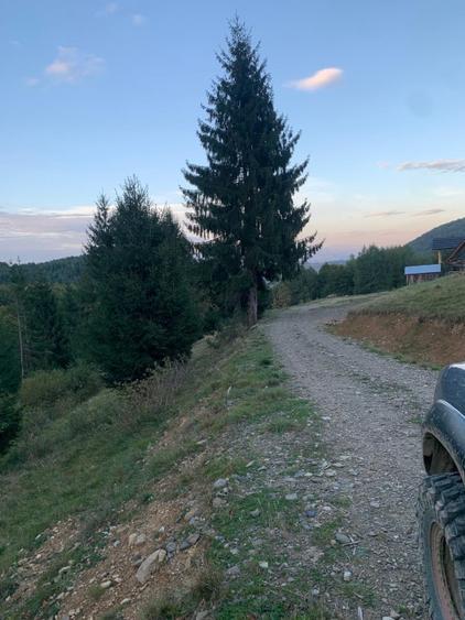 Teren de vânzare extravilan 5000 mp satul Glod Maramureș  - 11
