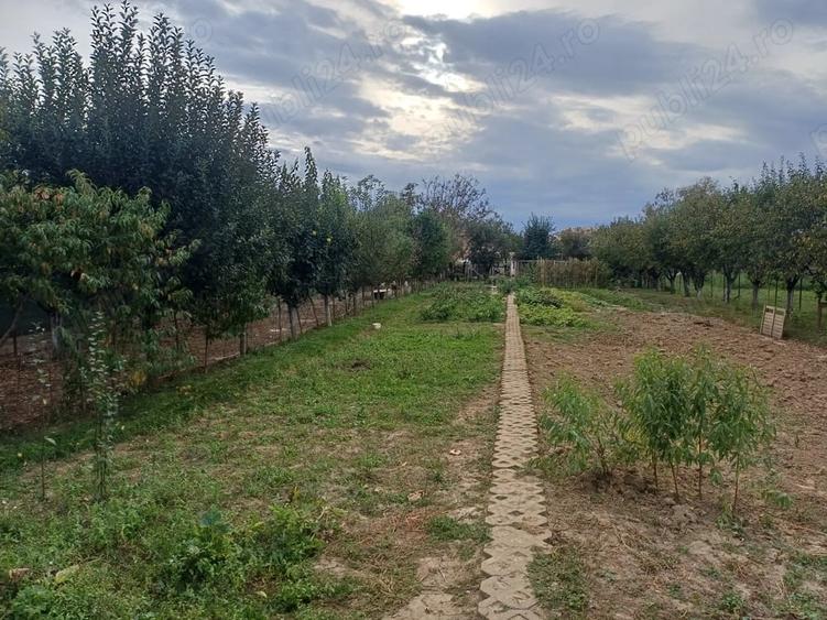 Teren de 1400 mp, în Central