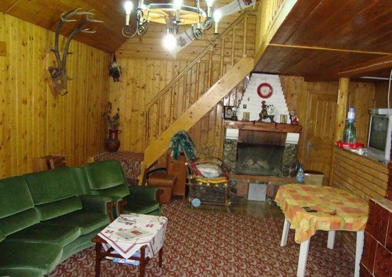 Spațiu comercial, de 450 mp, în Lepșa