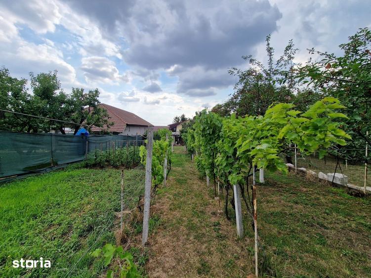 Casă cu 6 camere cu Teren 766 Mp în Oncea