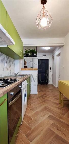 Apartament cu 2 camere semidecomandat, mobilat în Șagului