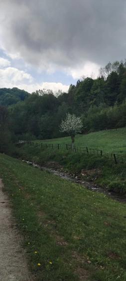 Teren de 1727 mp, în Stănija