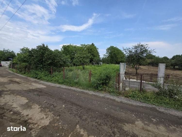 Teren de 1600 mp, în Bercu Roșu