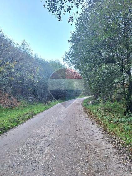 Teren agricol extravilan de 3981 mp, în Plaiul Foii