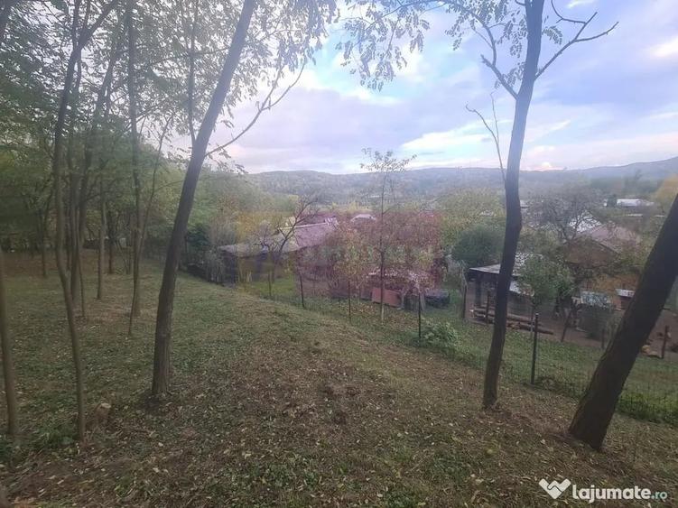Casă cu 3 camere cu Teren 3410 Mp în Aluniș