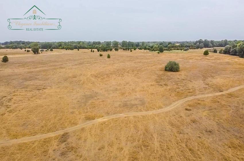 Teren agricol extravilan de 1180000 mp, în Secusigiu