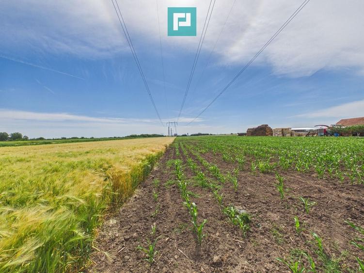 Teren agricol extravilan de 5000 mp, în Gai