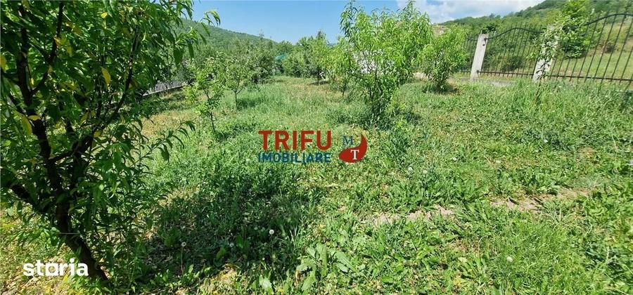 Teren de 582 mp, în Meteș