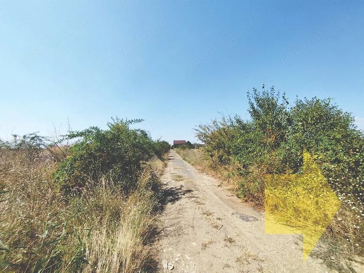 Vanzare teren intravilan in Magurele - Varteju - 6