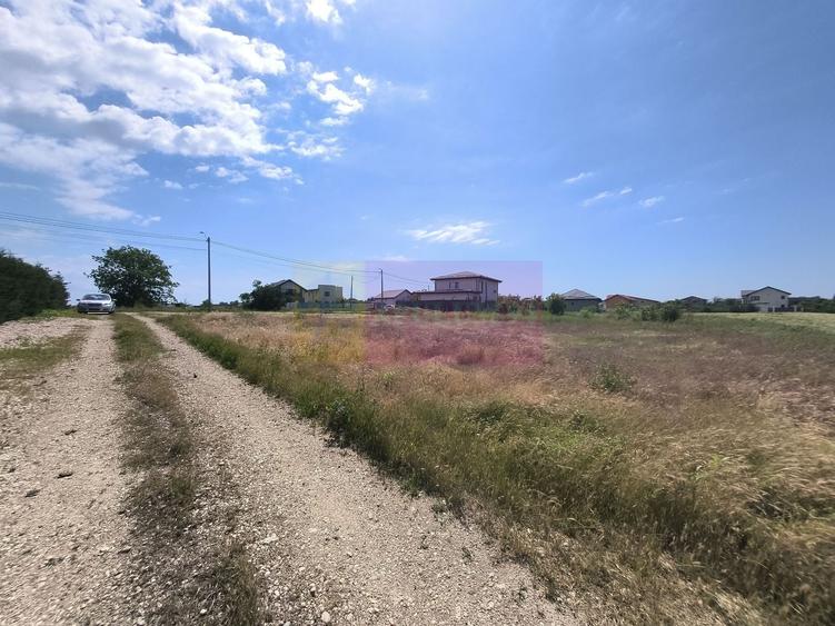 Teren Construcții intravilan de 1167 mp, în 1 Decembrie